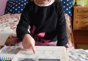 Powiększ obraz: 