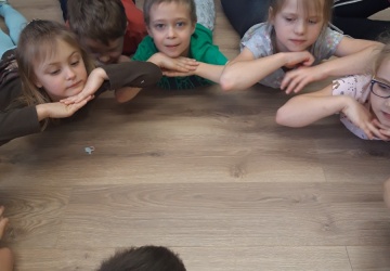 Powiększ obraz: 