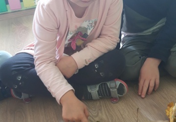 Powiększ obraz: 