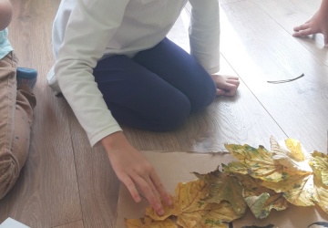 Powiększ obraz: 