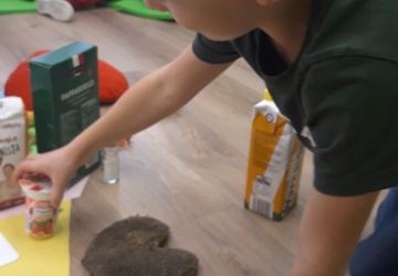 Powiększ obraz: 