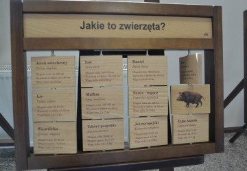 Powiększ obraz: 
