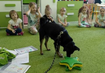 Powiększ obraz: "Nietypowy gość" - zajęcia dogoterapii w przedszkolu