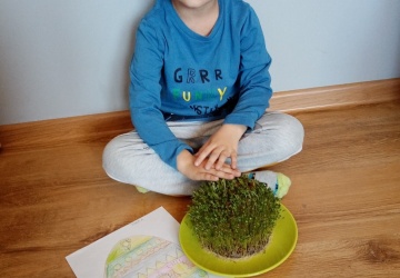 Powiększ obraz: 