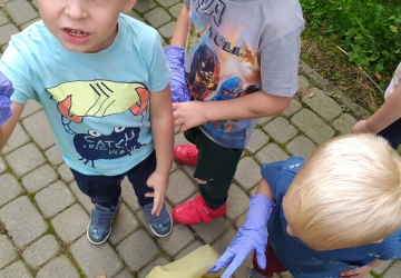 Powiększ obraz: 