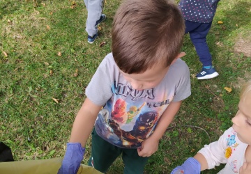 Powiększ obraz: 