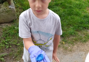 Powiększ obraz: 