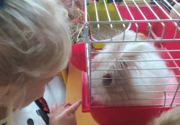 Powiększ obraz: 