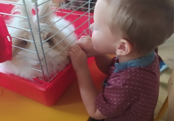 Powiększ obraz: 