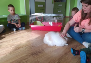 Powiększ obraz: 