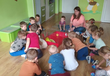 Powiększ obraz: 