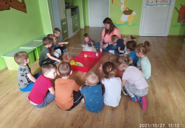 Powiększ obraz: 