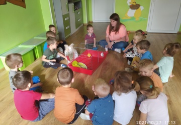 Powiększ obraz: 
