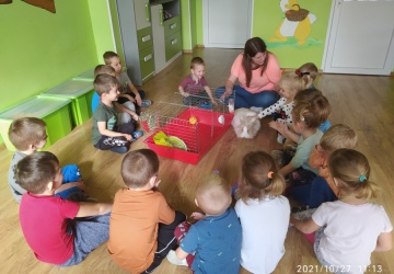 Powiększ obraz: 