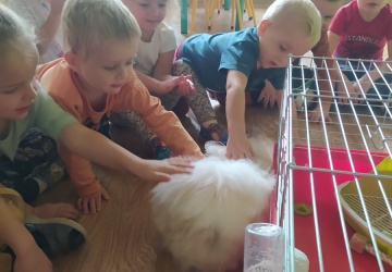 Powiększ obraz: 