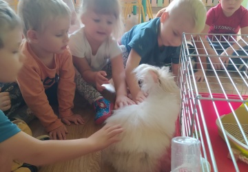 Powiększ obraz: 
