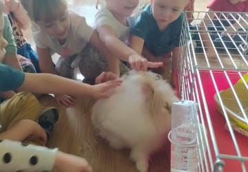 Powiększ obraz: 