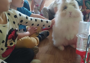 Powiększ obraz: 