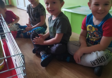 Powiększ obraz: 