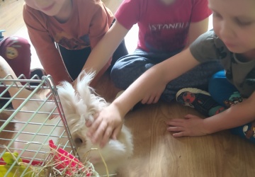 Powiększ obraz: 