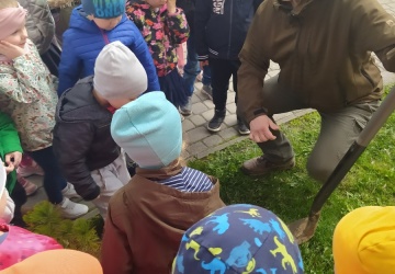 Powiększ obraz: 