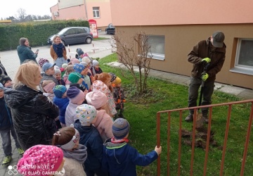 Powiększ obraz: 