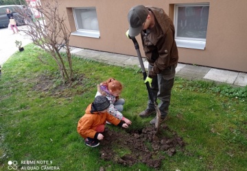 Powiększ obraz: 