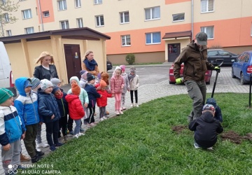 Powiększ obraz: 