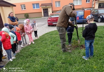 Powiększ obraz: 