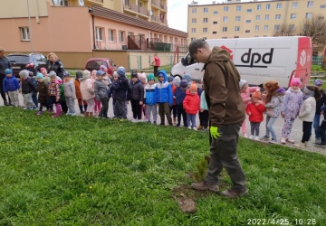 Powiększ obraz: 