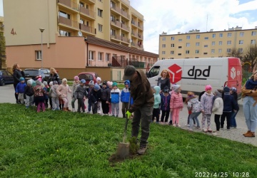 Powiększ obraz: 