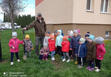 Powiększ obraz: 