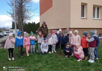 Powiększ obraz: 