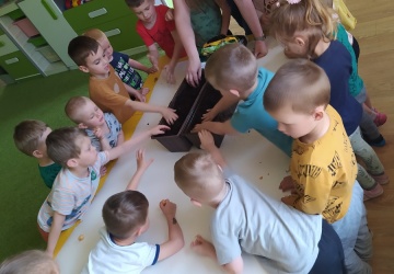 Powiększ obraz: 
