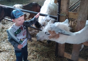 Powiększ obraz: WYCIECZKA DO MINI ZOO W ROKSZYCACH