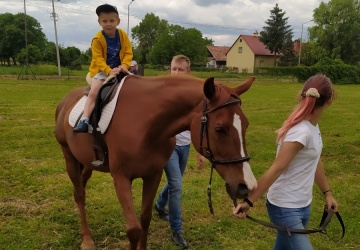 Powiększ obraz: 