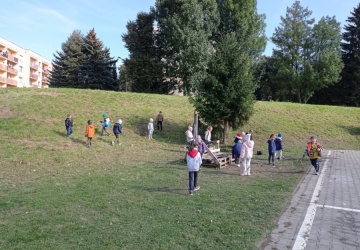 Powiększ obraz: 