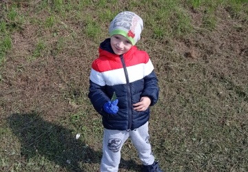 Powiększ obraz: 