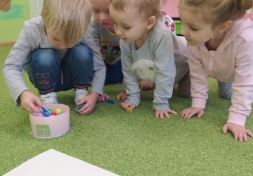 Powiększ obraz: 