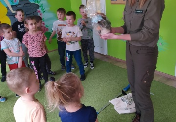 Powiększ obraz: 