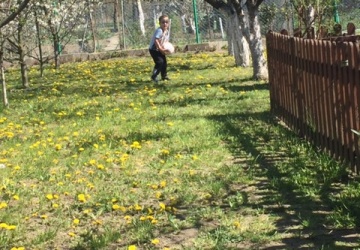 Powiększ obraz: 