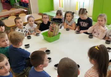 Powiększ obraz: KĄCIK OGRODNICZY W GRUPIE STARSZAKÓW