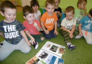 Powiększ obraz: 
