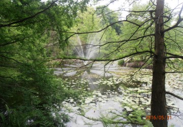 Powiększ obraz: Ogród Botaniczny w Bolestraszycach - WYCIECZKA