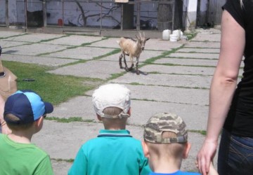 Powiększ obraz: 