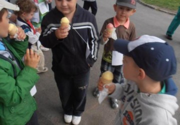 Powiększ obraz: 
