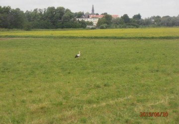 Powiększ obraz: 