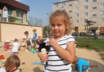 Powiększ obraz: 
