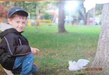 Powiększ obraz: 