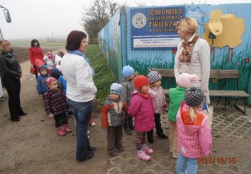 Powiększ obraz: Pomagamy bezdomnym zwierzętom - ORZECHOWCE 2012 - 16.10.2012r.
